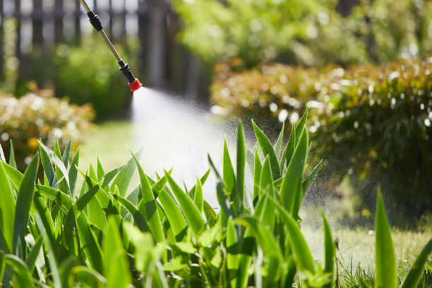 Tamper-Resistant Bait Stations for Rodents in North Bellport